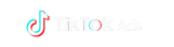 tiktok-ads-partners-web-tienda-online